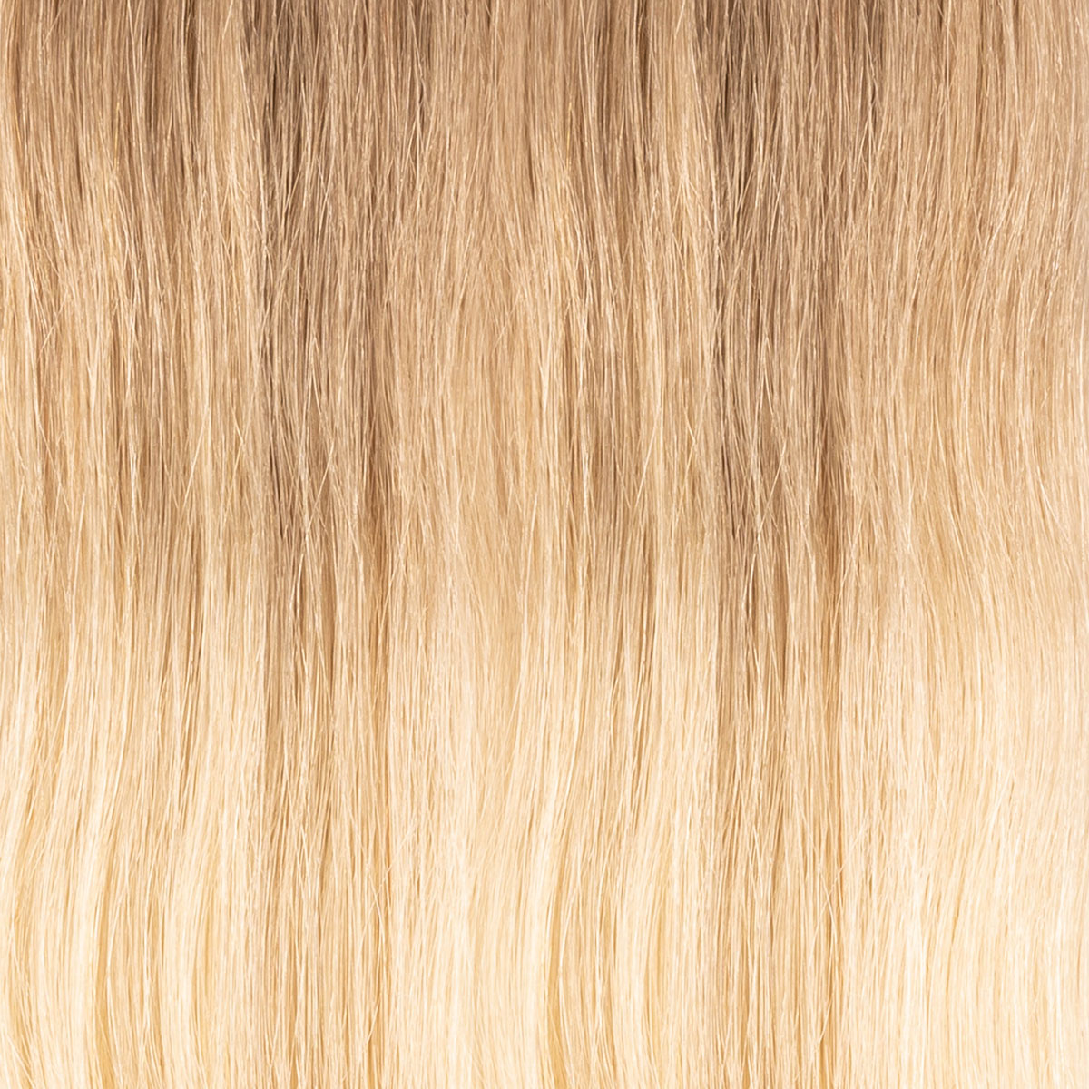 ombre biondo chiarissimo & biondo dorato T8/22