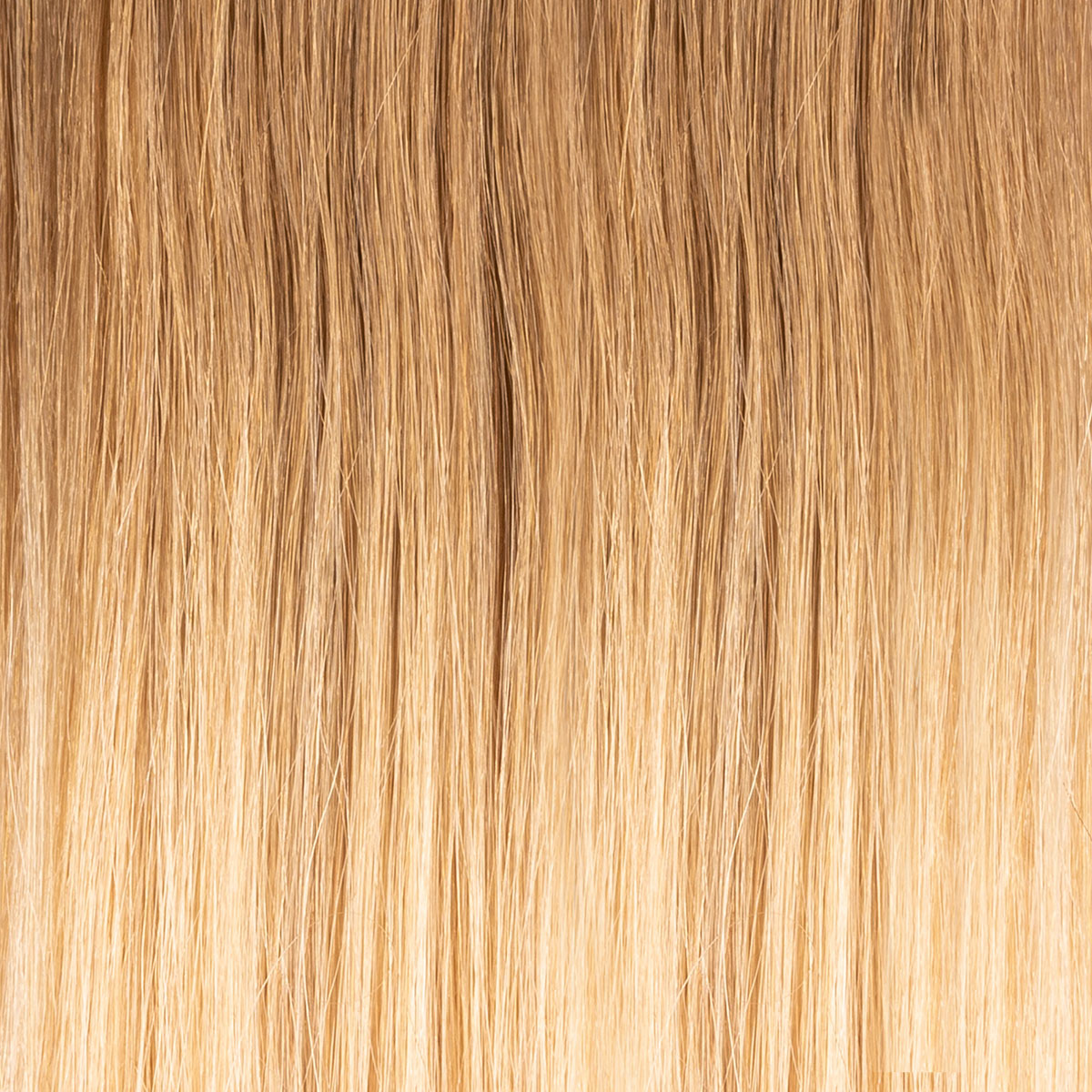 ombre biondo chiarissimo & biondo ultrachiaro T8/24