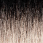 1B/613 Nero indiano/biondo platino Barbie